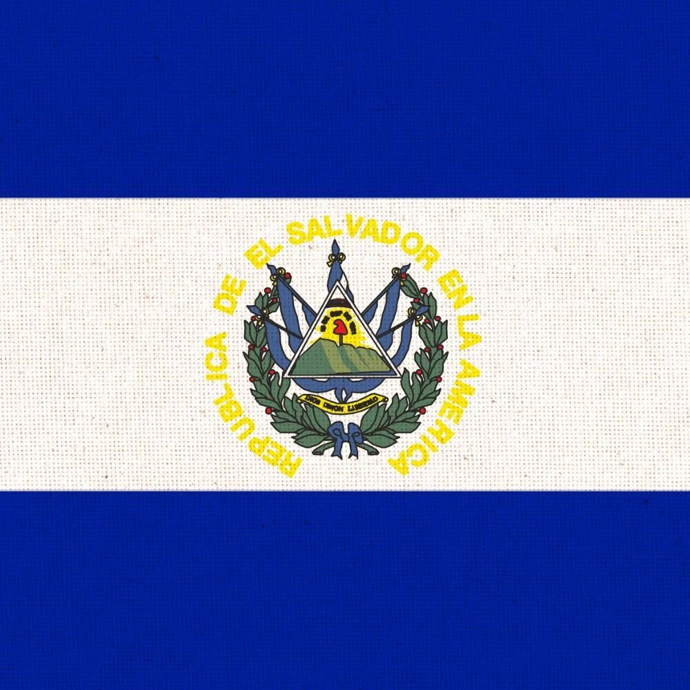 morphaeuswaha's tweet image. يتعلم الأطفال في سن السابعة عن $BTC في السلفادور.

#CryptoMarket