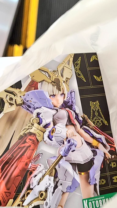 悩みに悩んだ末にメガミデバイスパラディン買いました この人の表情がお気に入り ポイント値引きで1000円で購入