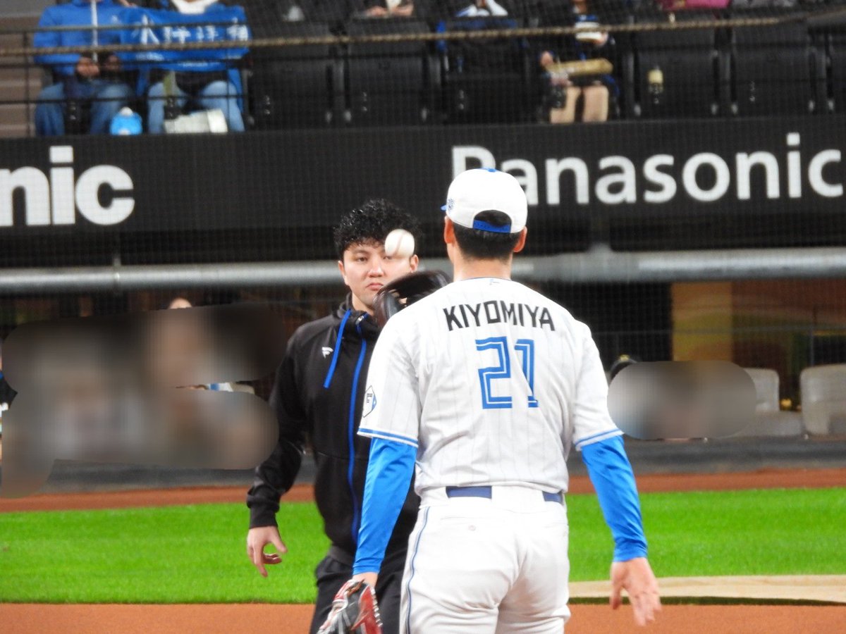 🐅おさかな姉やん🐿️ on X