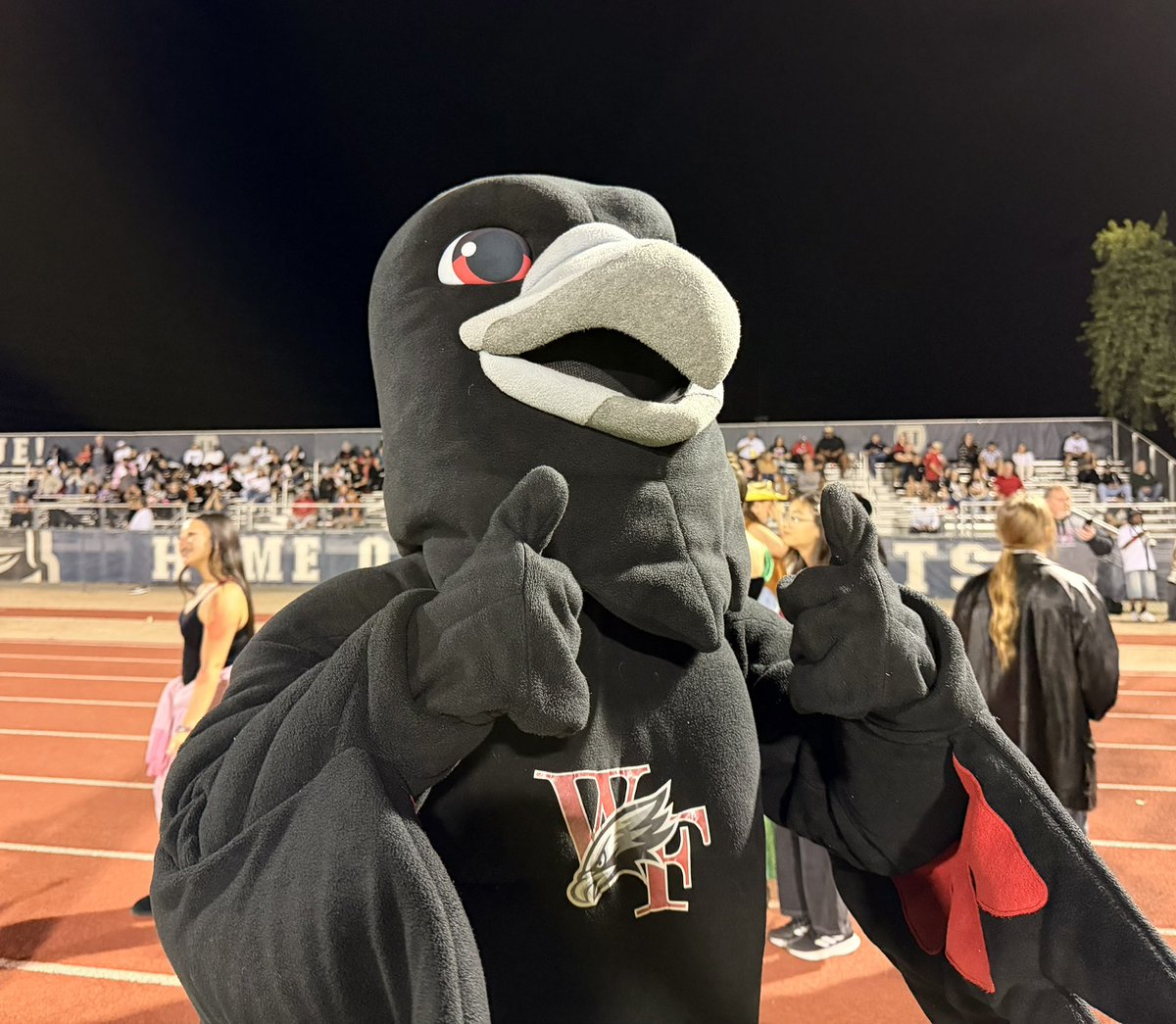 The_Anthony_P's tweet image. That’s no Halloween costume- that’s the #Gilbert Williams Field mascot! We’ve got rivalry game action between the Black Hawks and Gilbert Higley, and I’m covering it all for @azc_preps
