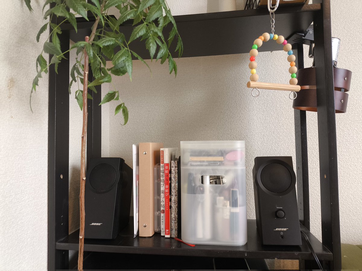 しあこ^( 'Θ' )^ on X