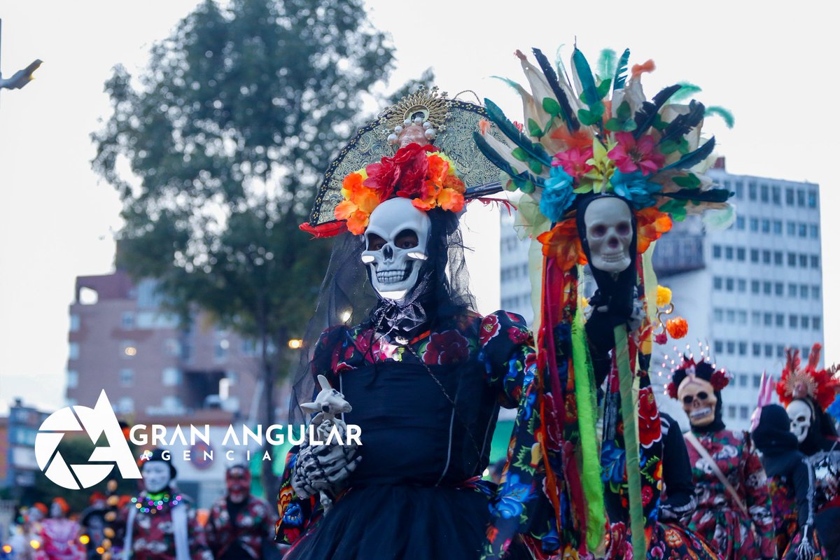 Gran Angular tweet media