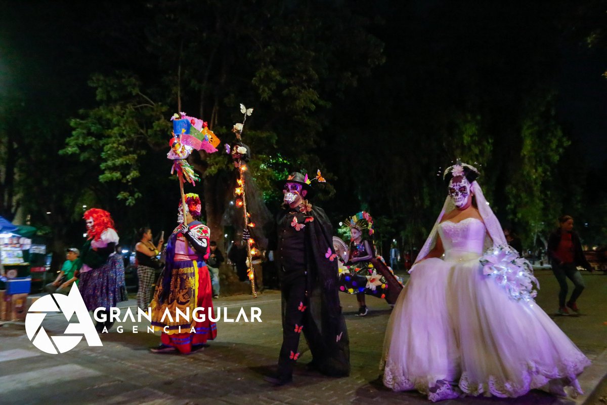 Gran Angular tweet media