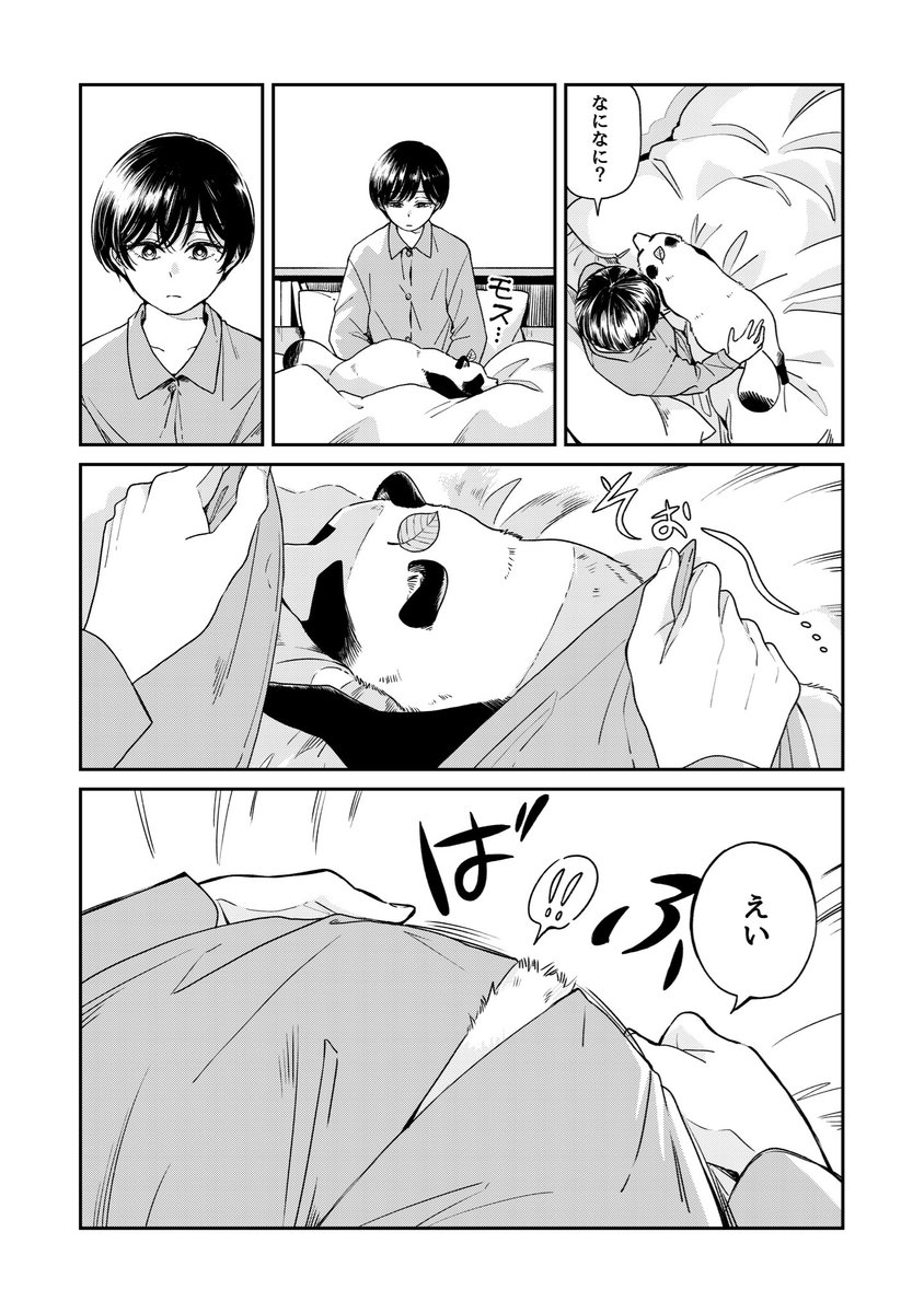 肌寒い朝のお話 