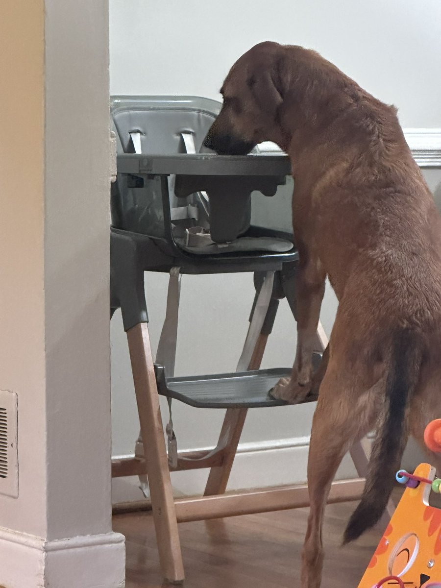 One of my favorite activities