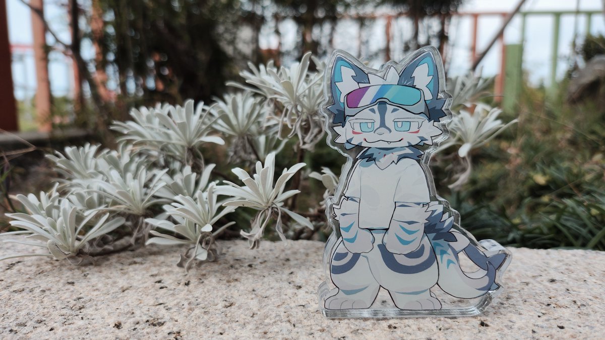 김로스 tweet media