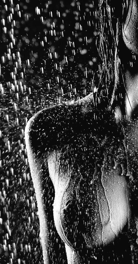 Lluvia de los que arden.

#ErotismoProfundo
La noche cayó sobre mí con la lentitud de un deseo no resuelto.
La lluvia comenzó a hablarme en su idioma de jadeos,
golpeando el techo como si imitara el ritmo de tu cuerpo.

El mar rugía en la distancia,
pero dentro de mí rugía otra