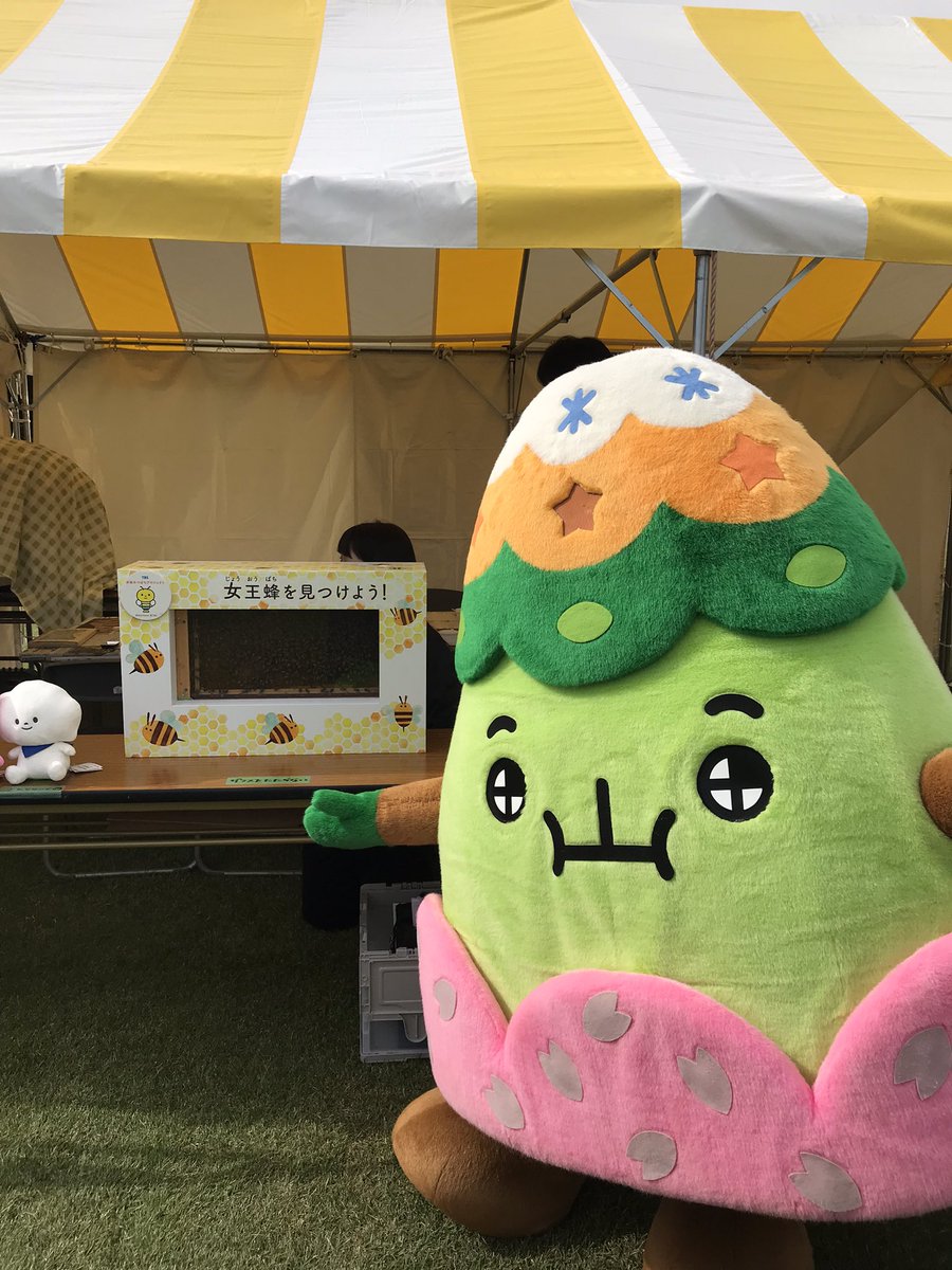 さとやまくん tweet media