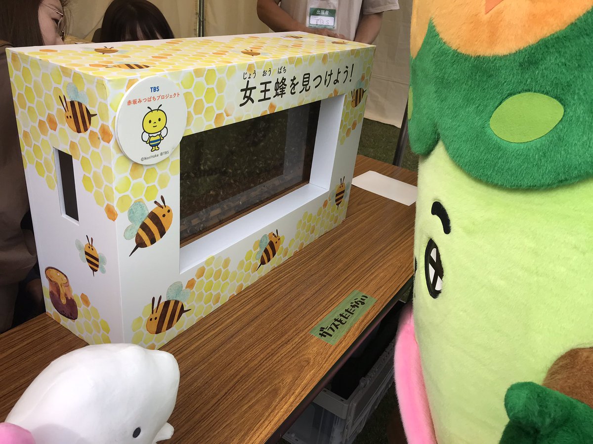 さとやまくん tweet media