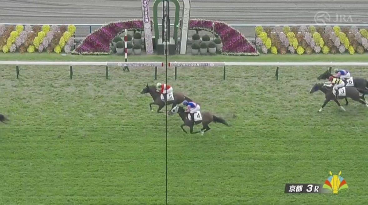 まめるめる様　ご相談ページ さやまめ🫛 on X