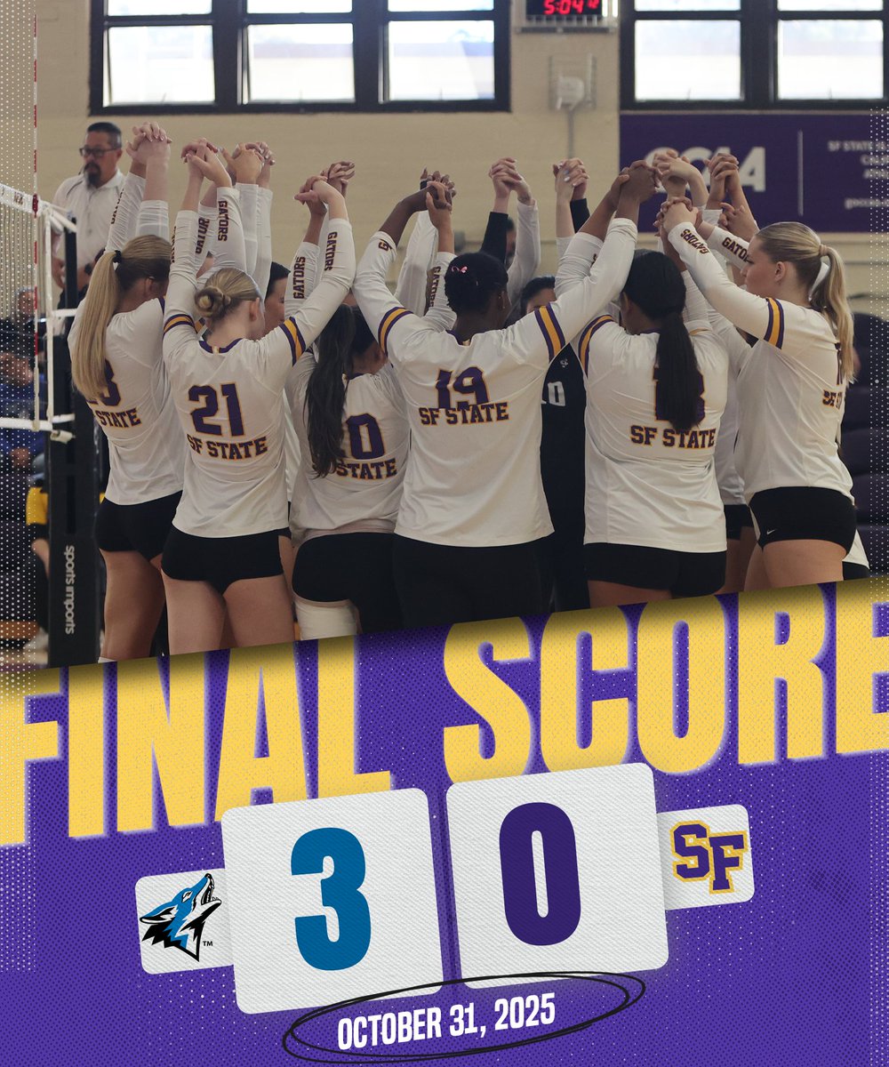 SF State Volleyball tweet media