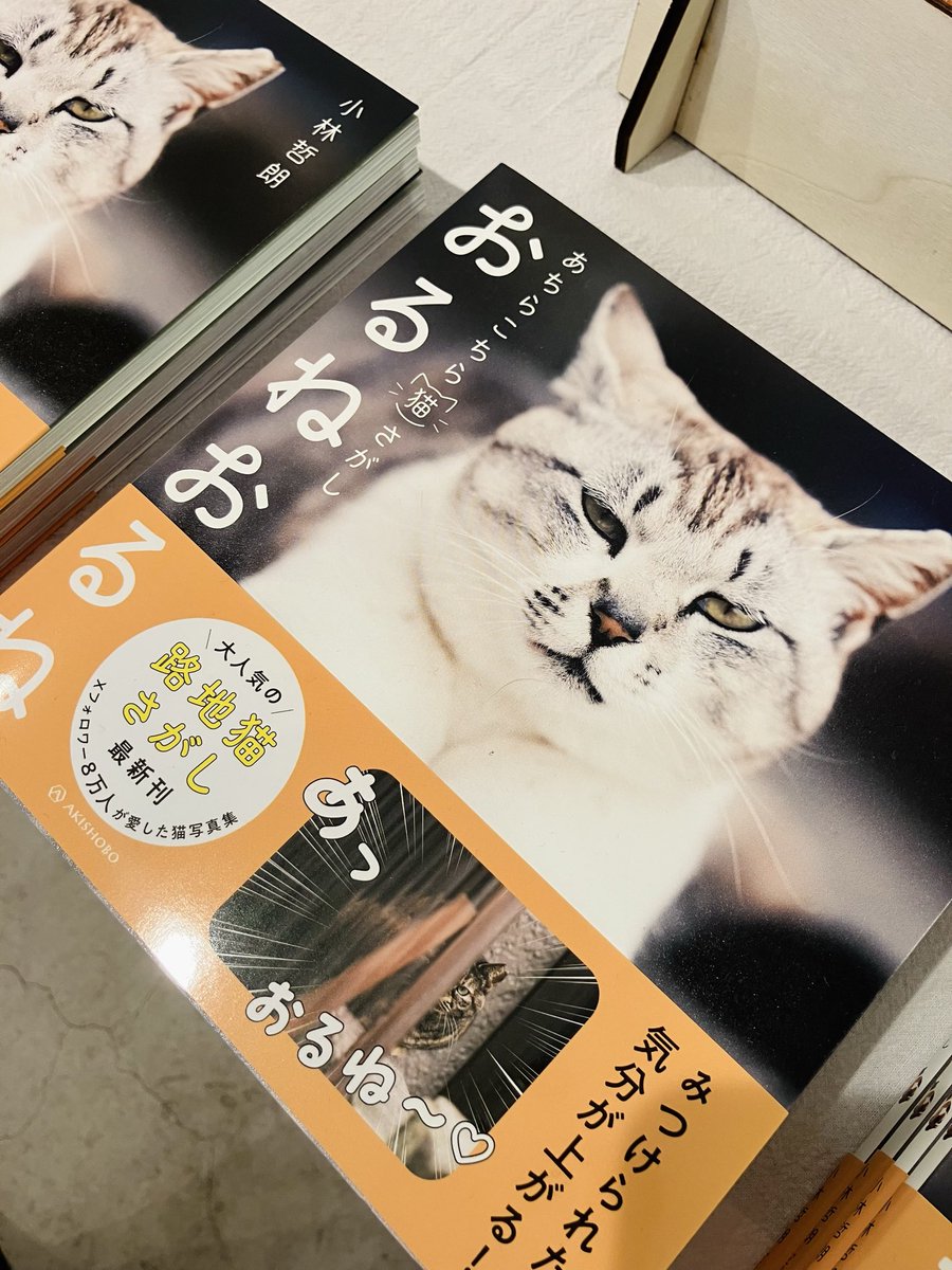 POTATO CHIP BOOKS on X