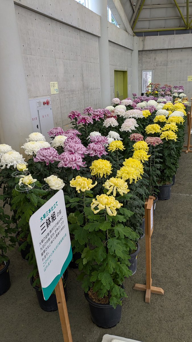 masa@VストSX/CT125ハンターカブ on X