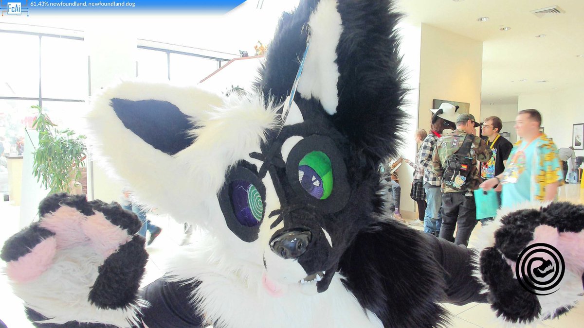 Happy Halloween this #fursuitfriday!!! Be sure to catch me in one of these goobers this weekend at #furpoc  and say hi :3