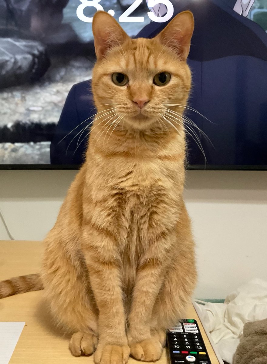 はなな📘📕10月断雨4巻 (@hananamdzs) / Posts / X