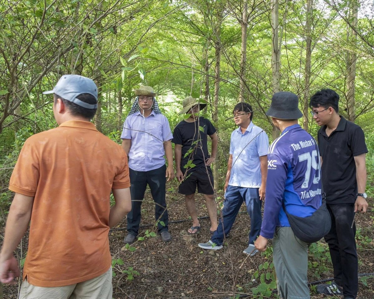 Một ngày làm thực tập sinh ở Moshav

Sáng nay, các bạn sinh viên dậy sớm hơn thường lệ. Trời Ninh Hòa còn vương sương, gió mang theo mùi cỏ mới cắt. Ai nấy đều vội vã chuẩn bị cho một ngày mới ở Moshav – nơi không chỉ có công việc, mà còn có những bài học