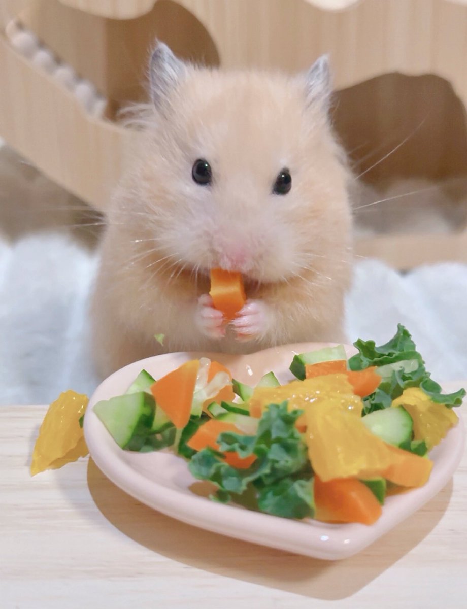 o3o2_sss's tweet image. 