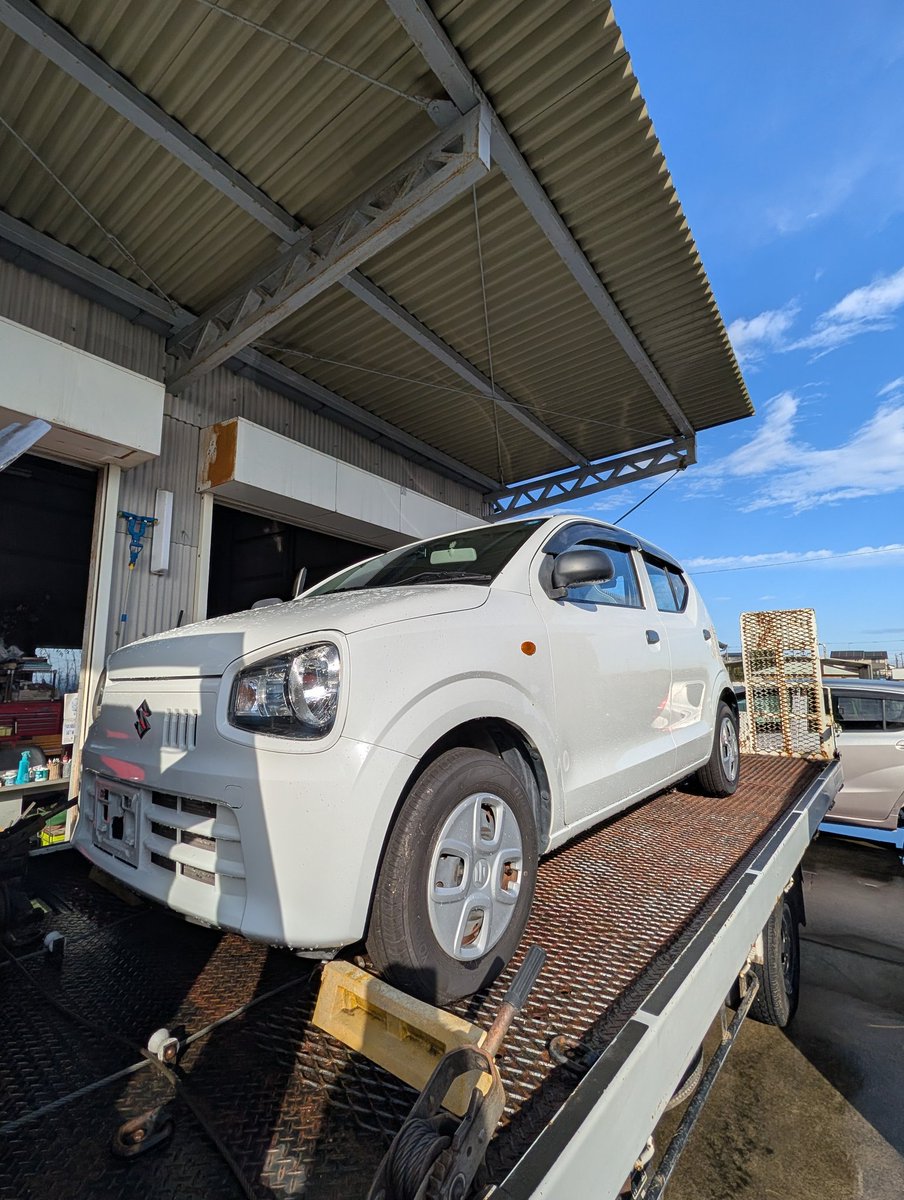 ⚠️つっちー ⚠️つっちー LEGO Whale (30641) from Creator 3in1 Panda Bear