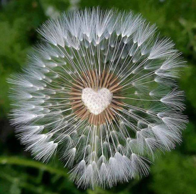 sandeepAnalyst's tweet image. Be kind,
Spread love, and
Make someone's day brighter
It's the small acts of kindness
that make the biggest impact.