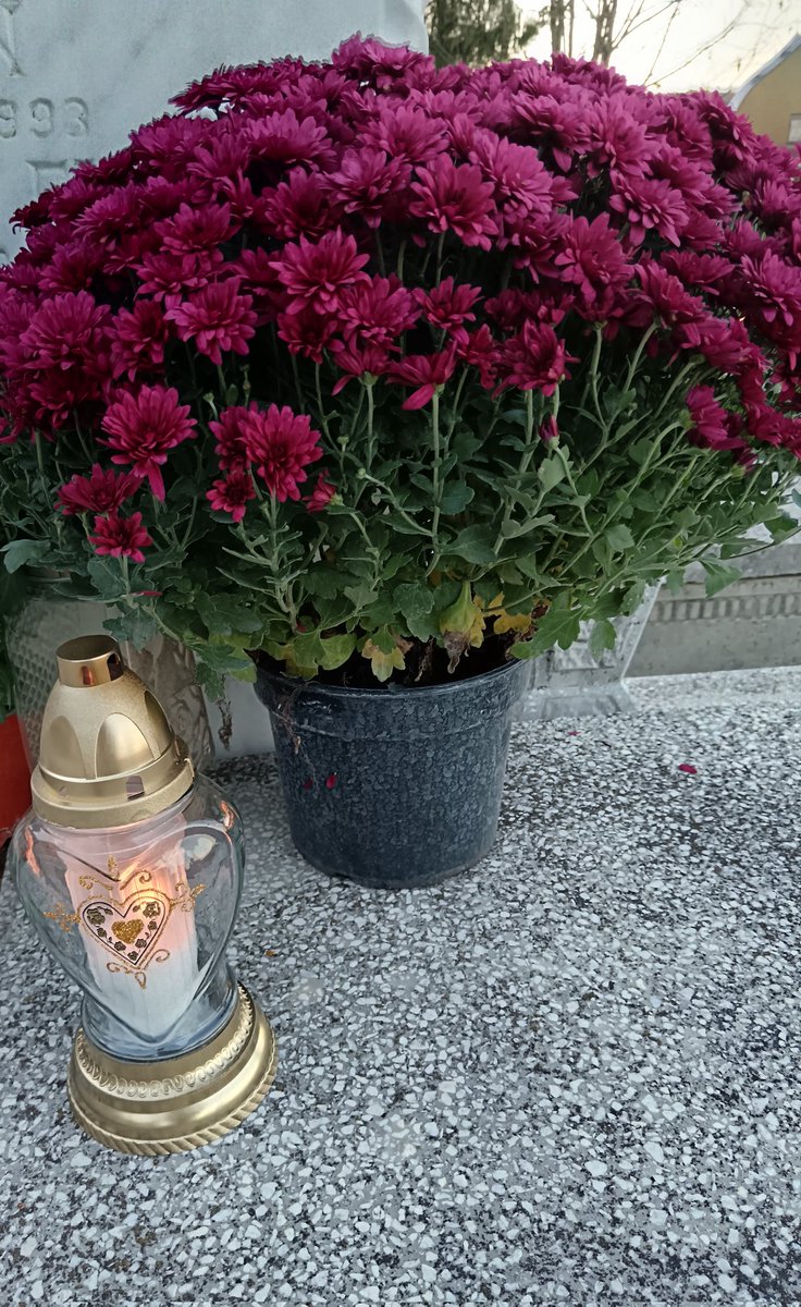 Clau81975's tweet photo. Cafeaua de dimineață by Clau ☕
Azi este despre cei care au plecat dintre noi prea devreme. Le simțim lipsa tot timpul. Dumnezeu să îi odihnească și să îi ierte.
😪🙏 https://t.co/ERMIAZKmoi