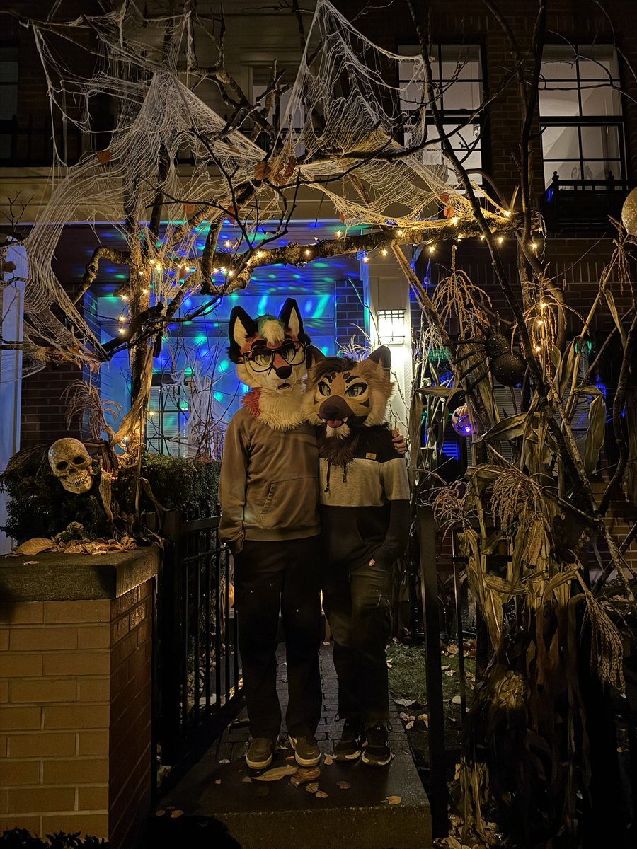 Falla✨ tweet media