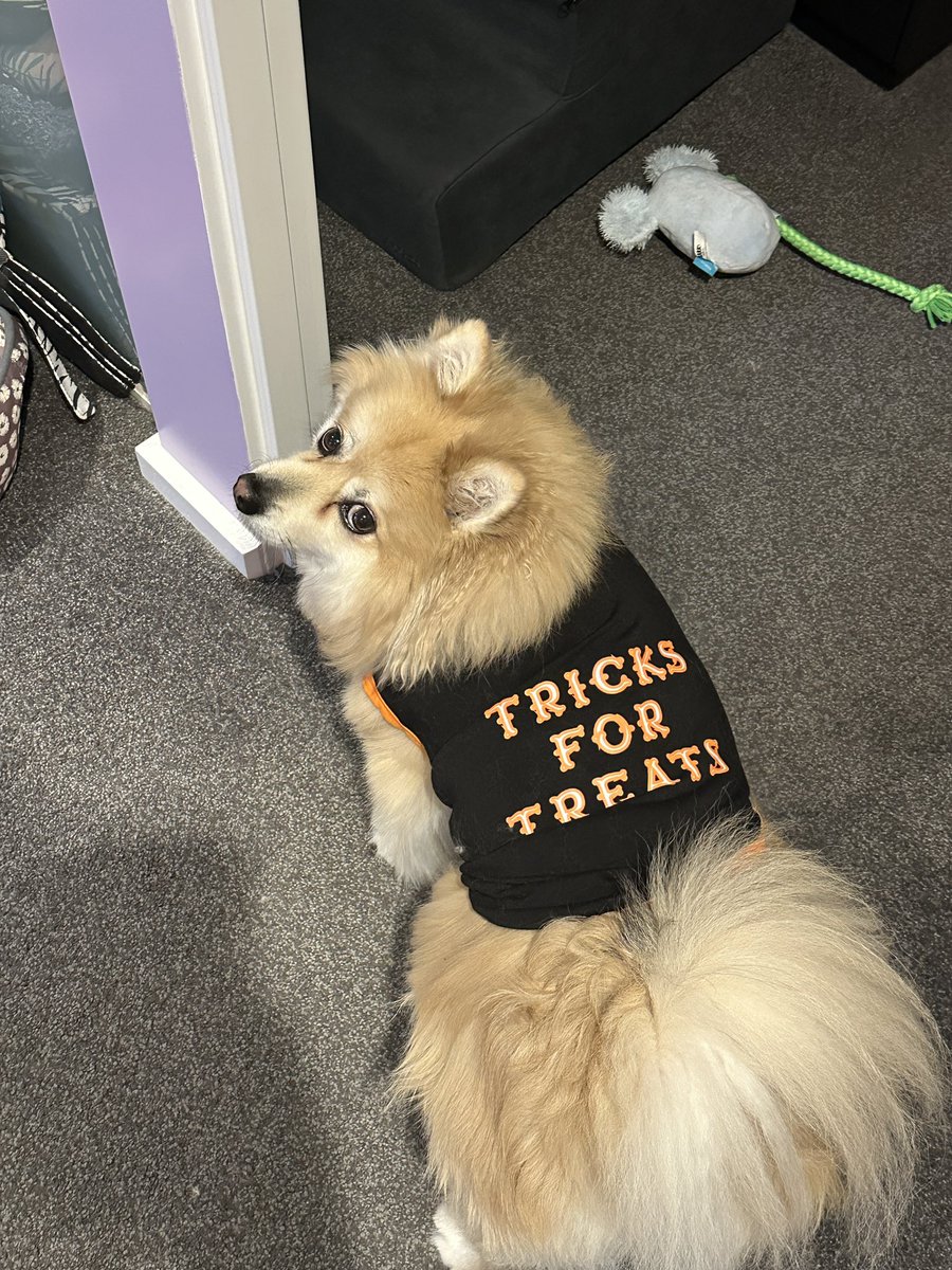 Kay Mulholland tweet media