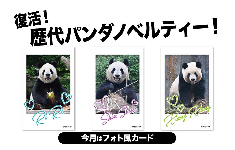 復活‼️歴代パンダノベルティー🐼】 もう一度「あのノベルティーが