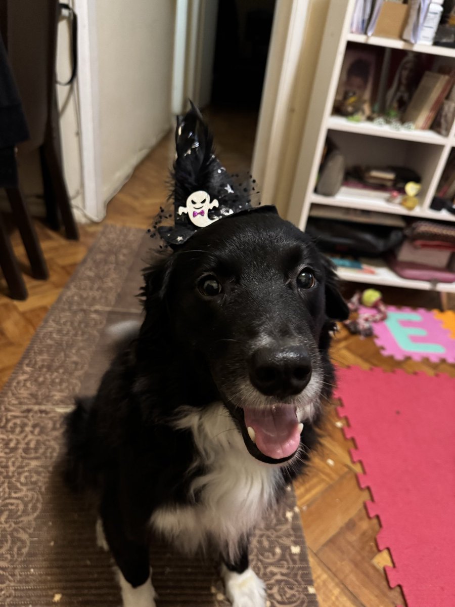 cestevam's tweet image. Happy Halloween! Vendo Grizzlies x Lakers! #TravessurasNoAmazonPrime