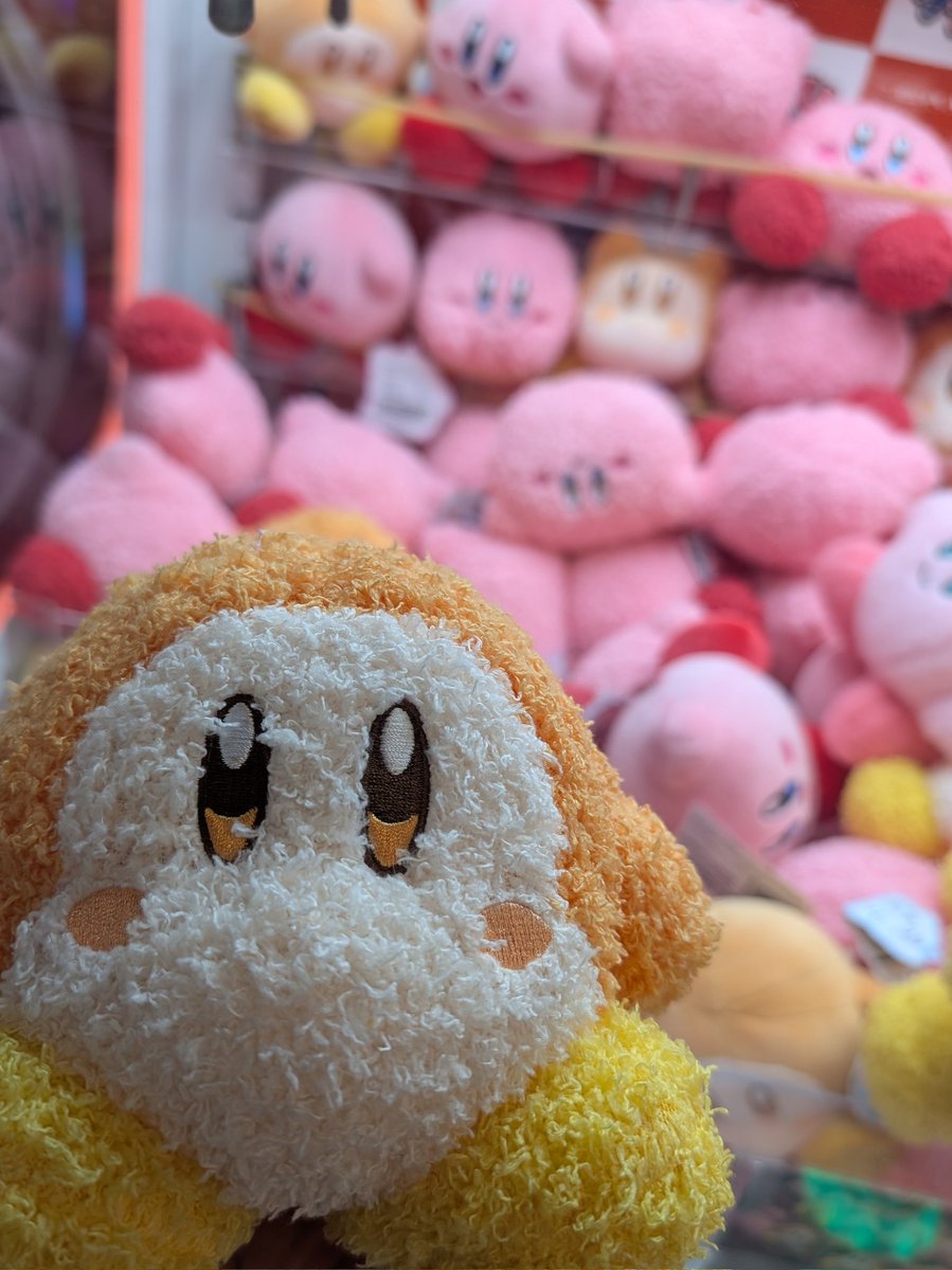 🦓のだっち🦓 (@noda_bunndodo) / Posts / X