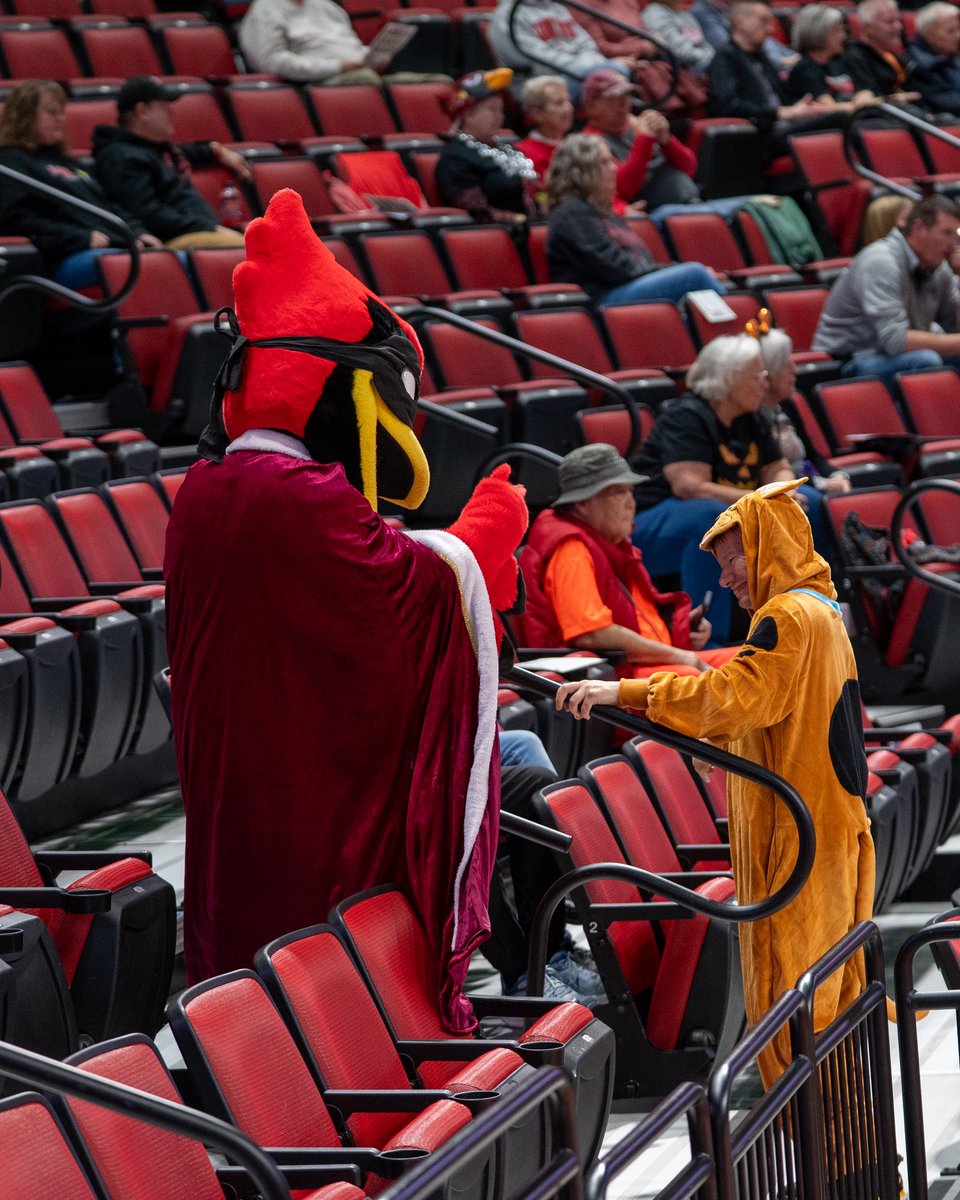 Reggie Redbird tweet media