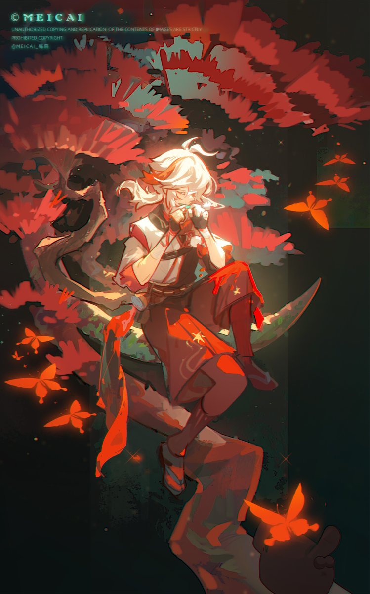 MeiCai_梅菜 tweet media