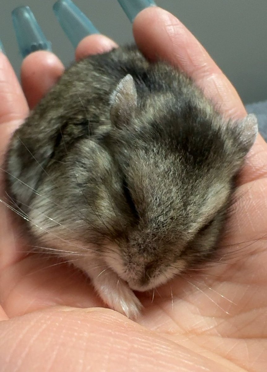 미선씨 tweet media