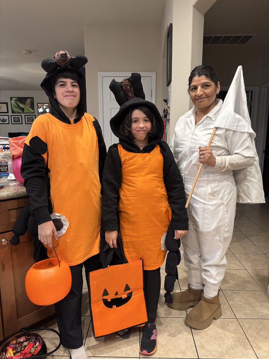 Monika Gulia-Nuss (@gulianusslab) on Twitter photo 