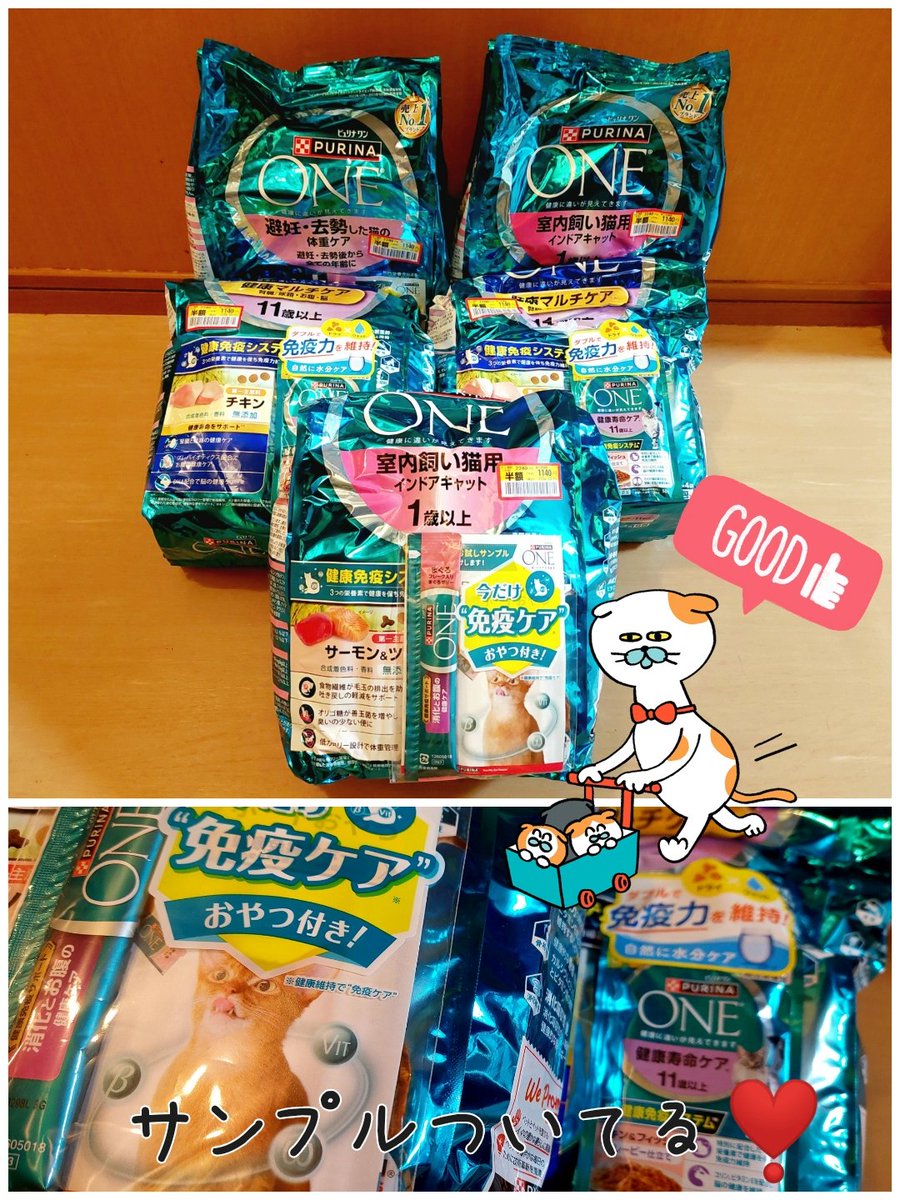 わんこにゃんこ (@makizou323) / Posts / X