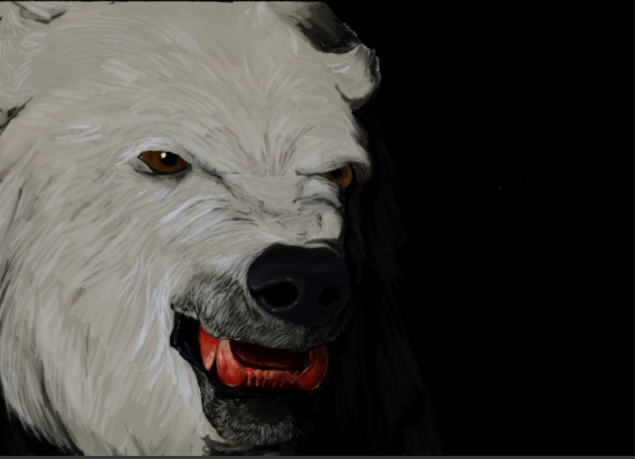 The bear