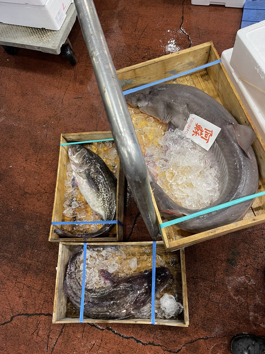 魚屋 Sakanaya Uosei Reservation in Numazu/Seafood - SAVOR JAPAN