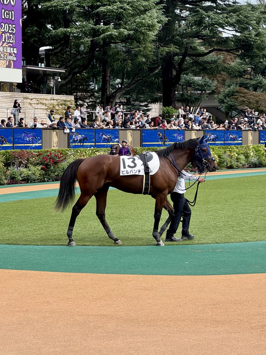 CHALLENGER 馬 馬 10フィート ウェスタンナイロン編組バレル手綱 真鍮スナップ 607RT02BK10 hell\u0026near on X