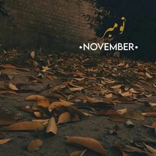 الوداع اکتوبر۔۔۔! 
اکتوبر، یعنی بدلتے موسموں کی صدا، 
گزرتے لمحوں کی چاپ، 
جھڑتے پتوں کی آہٹ، 
ٹھنڈی ہوا کی پہلی دستک، 
اداسی سے لپٹی شامیں، 
اور اُن شاموں میں خاموش کھڑی میری ذات۔۔۔ 

خوش آمدید نومبر! 
نئے امیدوں، نئی سوچوں اور نرمی سے لپٹے موسم کے ساتھ۔۔۔ 🌸🍂