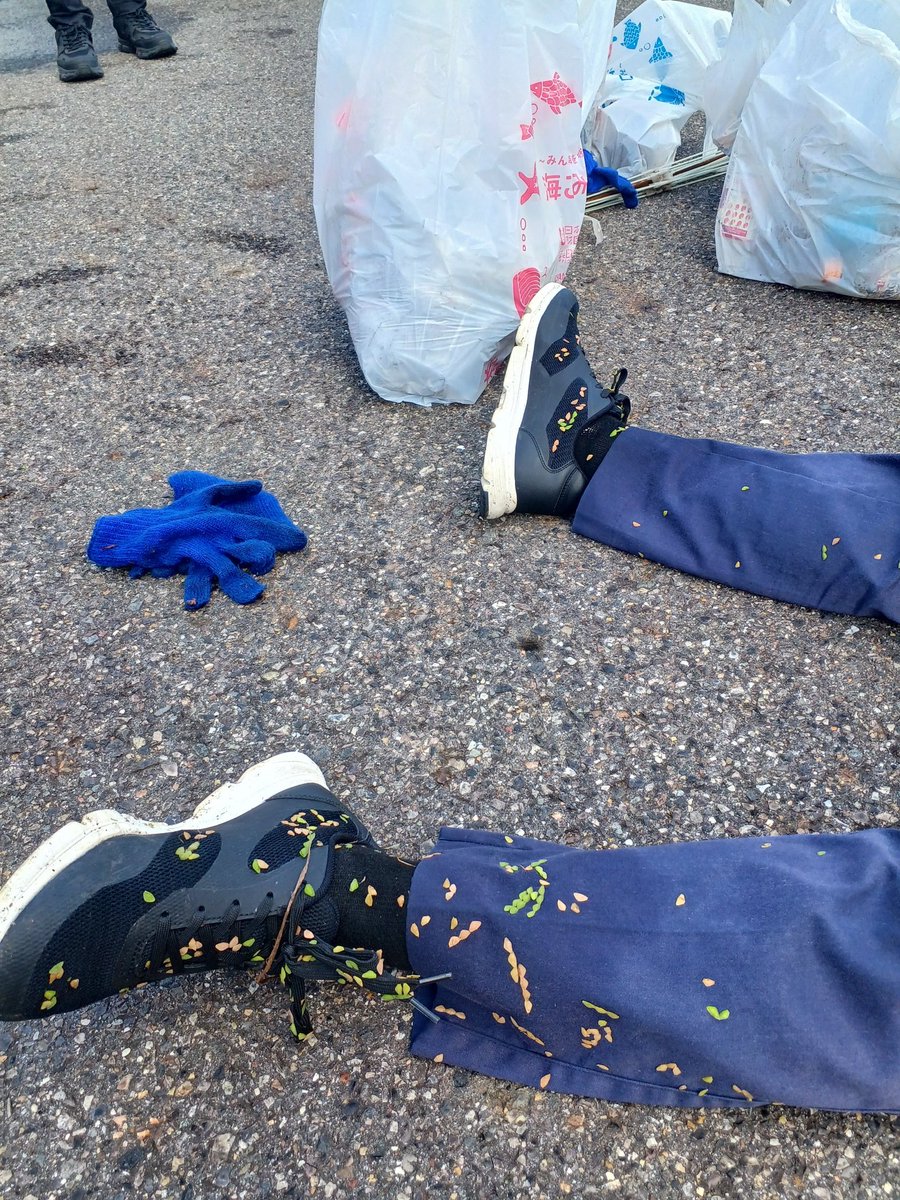 uminohi_aichi's tweet image. 全チーム戻って来たので、分別・軽量タイム⌛草むらに入ってごみを探してくれた形跡→くっつき虫‼️#spogomi