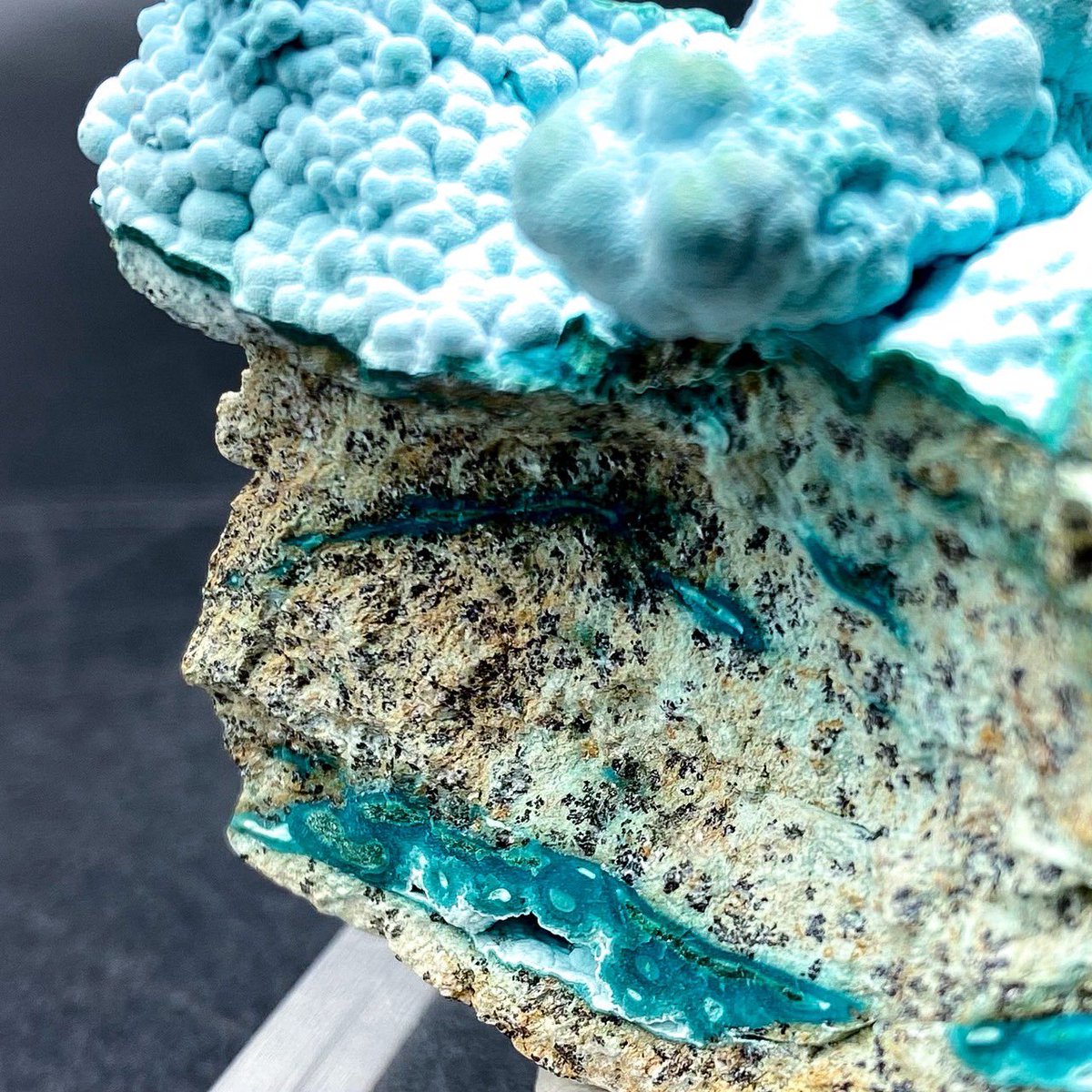 ウサギノネドコ東京店 on X