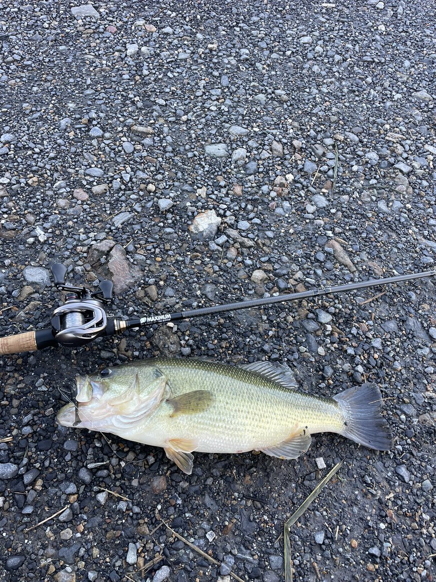 RAYSの元社長 on X