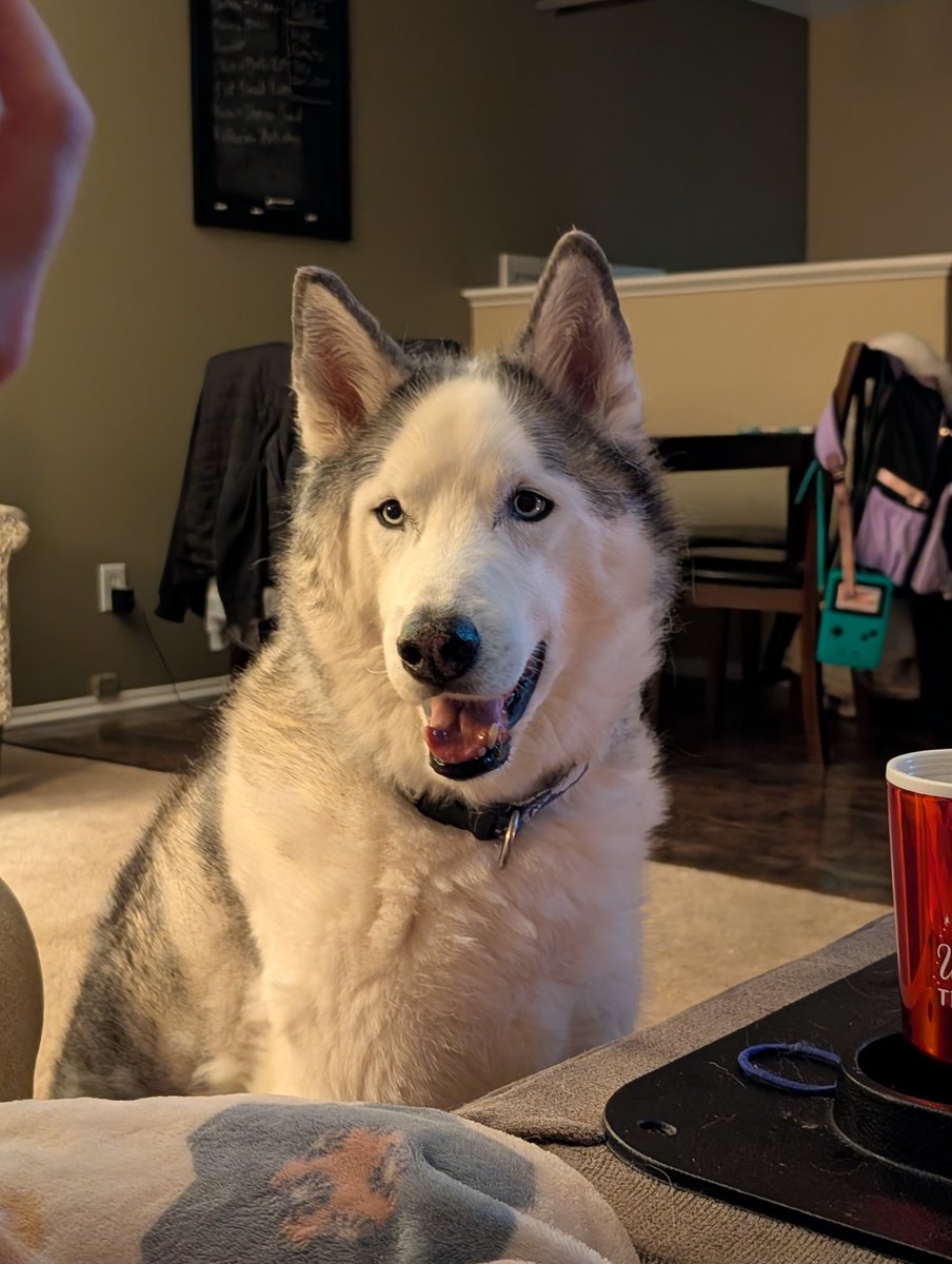 Aaron Larson tweet media