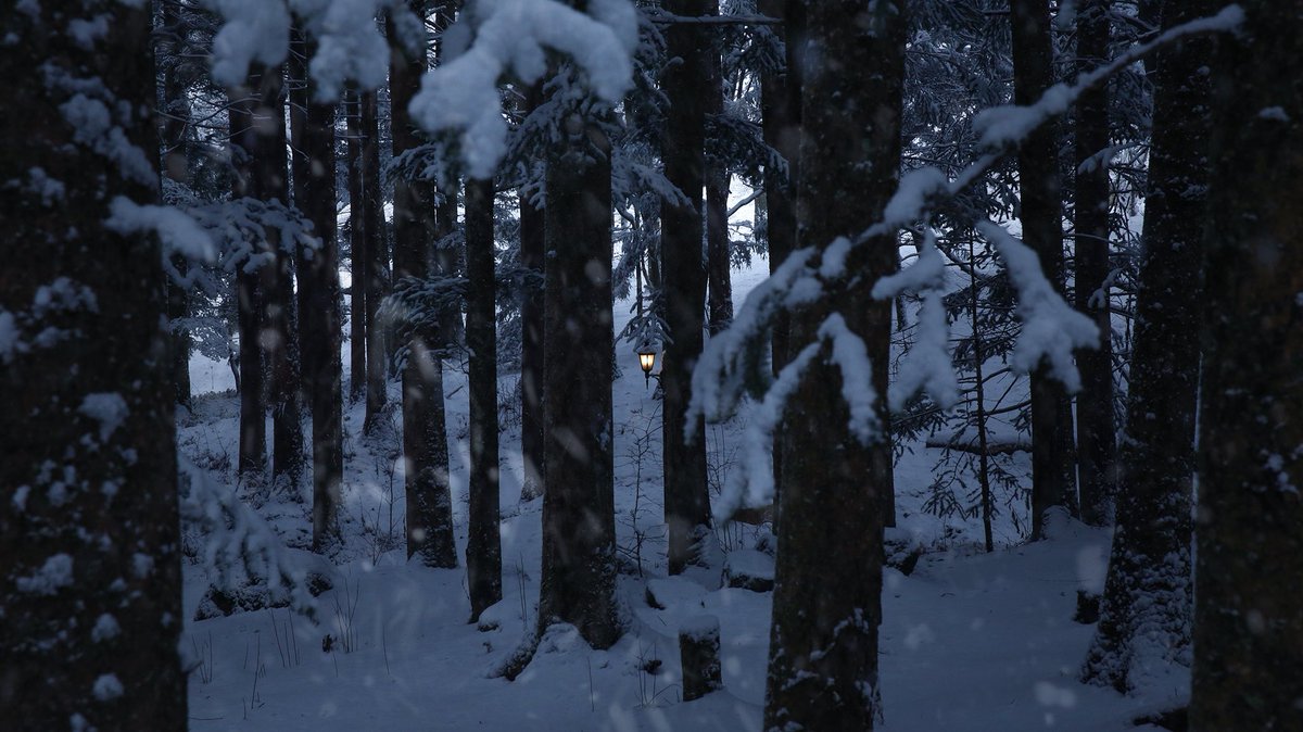 【 雪深い森🌲❄️☃️ 】
年明けの予約が開始となります。
毎年12月末～3月末まで積雪の可能性があります。休憩所とスタジオは隣接するので、こまめに休憩を取りながらお楽しみ頂けます。

＞＞＞早朝・夜の撮影プランも