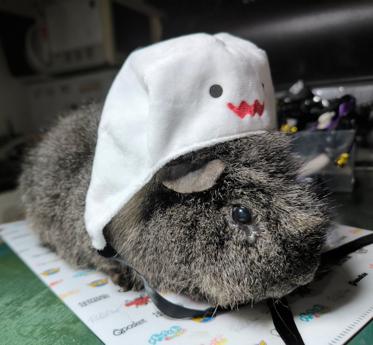 午前2時のハリネズミさん on X