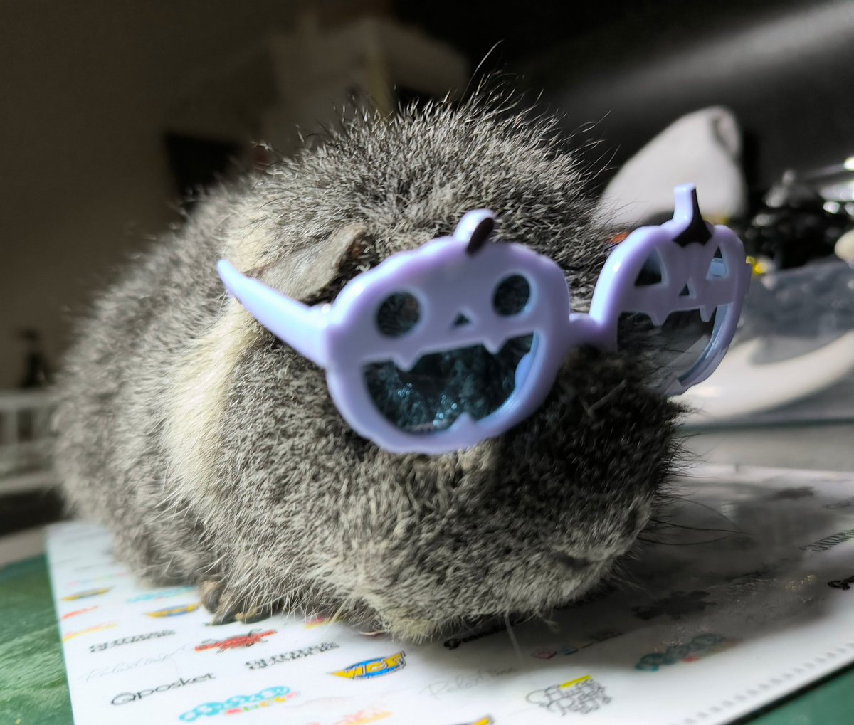 午前2時のハリネズミさん on X