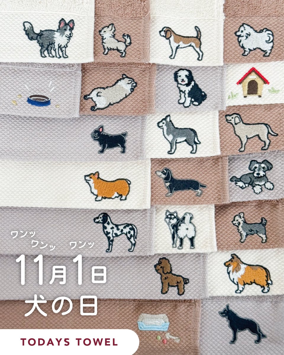 🐾11月1日は「 #犬の日」🐾 1(ワン)1(ワン)1(ワン)で覚えやすい日