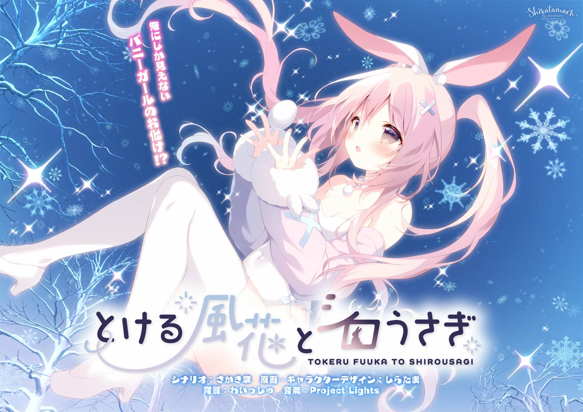 Highlights by しらたま❄️『とける風花とシロうさぎ』公式サイトOPEN