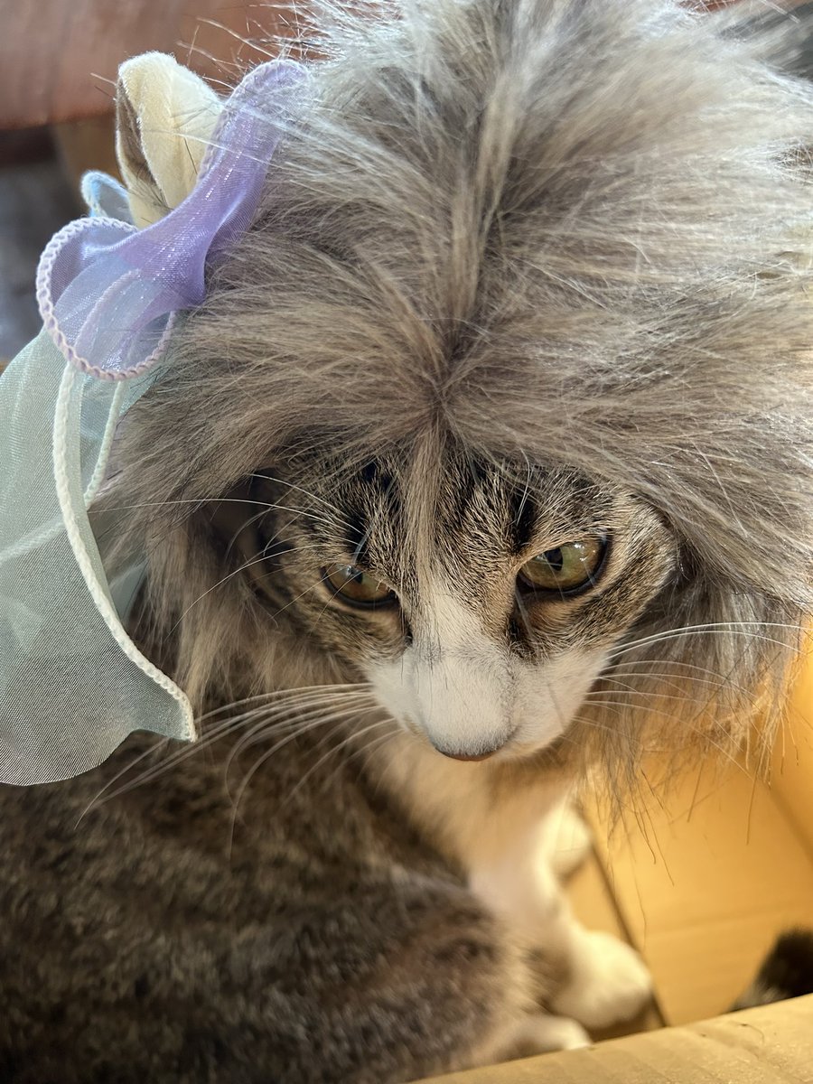 ふぅ (@fuchan0606) / Posts / X