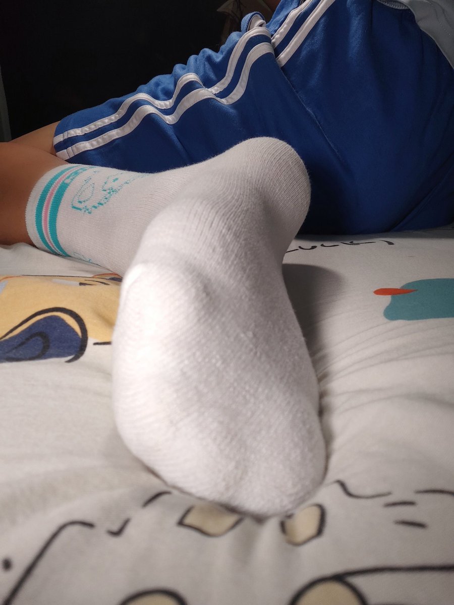 小雪豹星仔🐾 tweet media