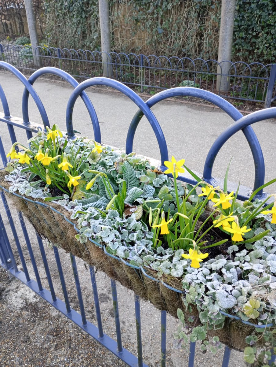 Friends of GH Park tweet media